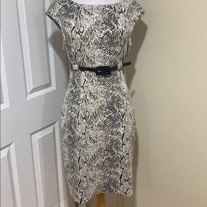 Dana Buchanan sweater dress belted sz 6